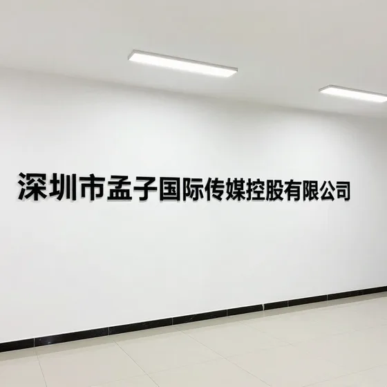 深圳市孟子国际传媒控股有限公司行业解析